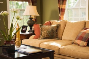Upholstery Cleaning | Windham, NY 518-734-4469